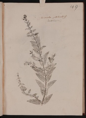 Anteprima dell'oggetto