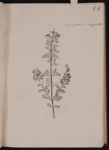 Anteprima dell'oggetto