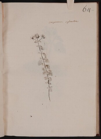 Anteprima dell'oggetto