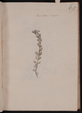 Anteprima dell'oggetto