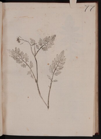 Anteprima dell'oggetto