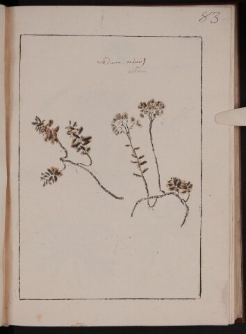 Anteprima dell'oggetto