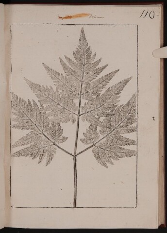 Anteprima dell'oggetto