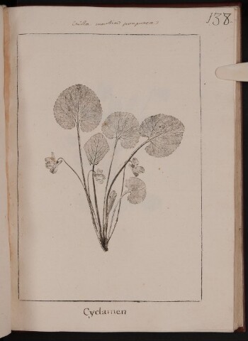 Anteprima dell'oggetto