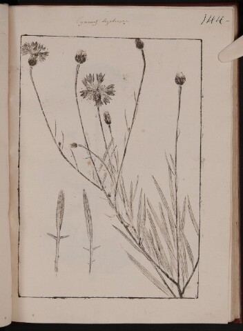 Anteprima dell'oggetto