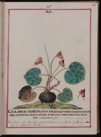 Anteprima dell'oggetto