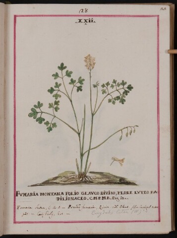 Anteprima dell'oggetto