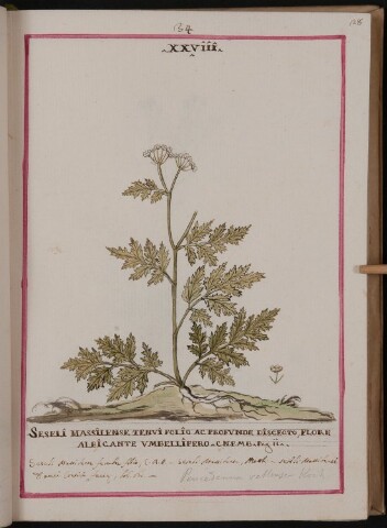 Anteprima dell'oggetto