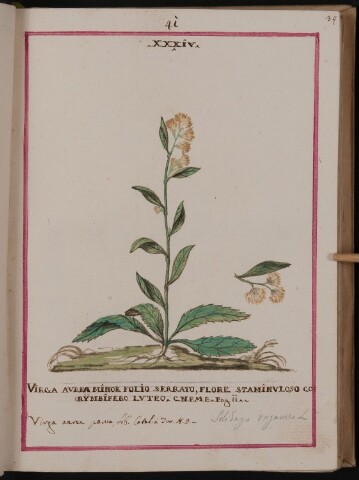 Anteprima dell'oggetto