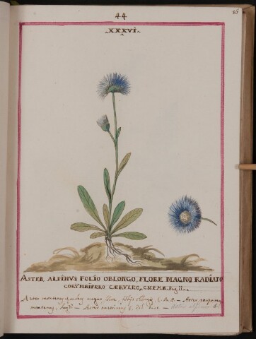 Anteprima dell'oggetto