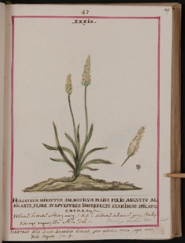 Anteprima dell'oggetto