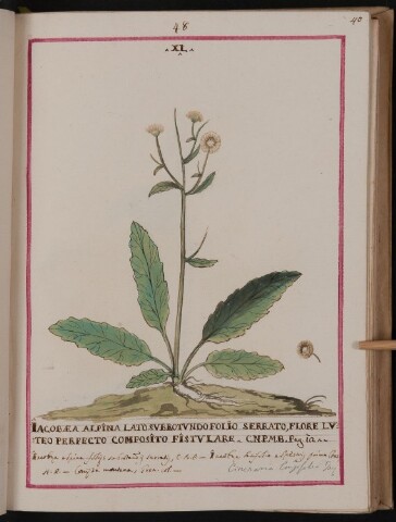 Anteprima dell'oggetto