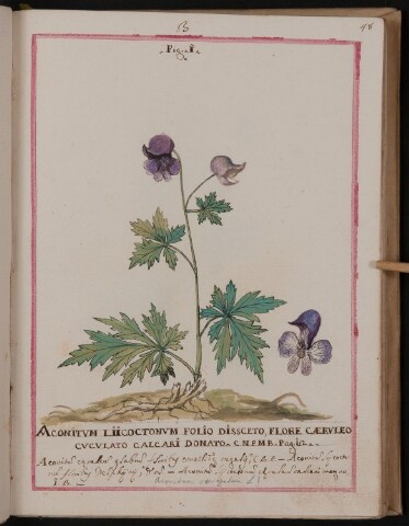 Anteprima dell'oggetto