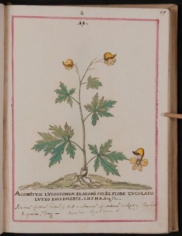 Anteprima dell'oggetto