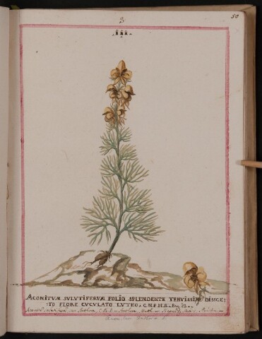 Anteprima dell'oggetto