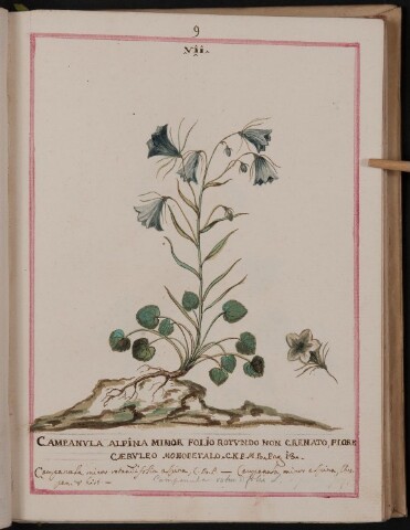 Anteprima dell'oggetto