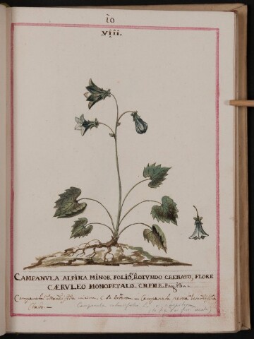 Anteprima dell'oggetto