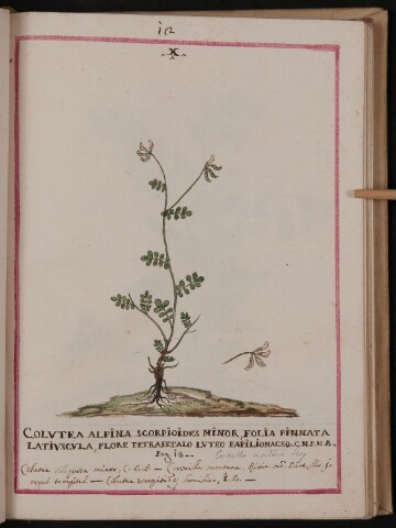 Anteprima dell'oggetto