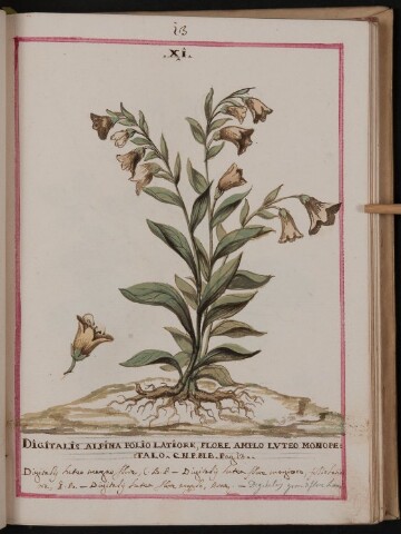 Anteprima dell'oggetto