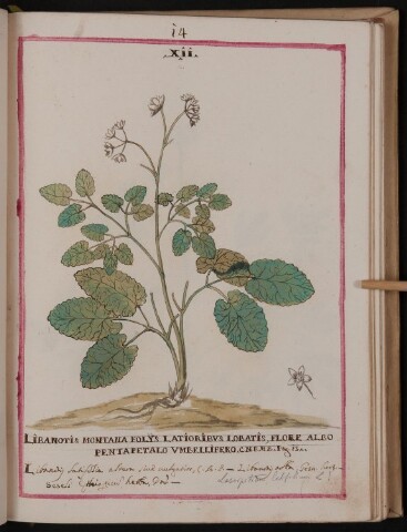 Anteprima dell'oggetto