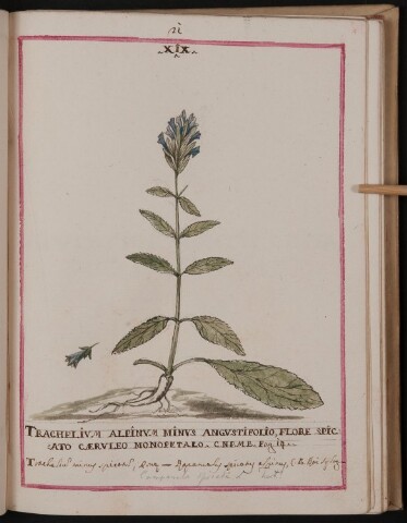 Anteprima dell'oggetto