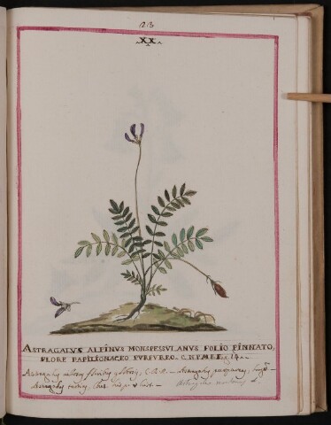 Anteprima dell'oggetto