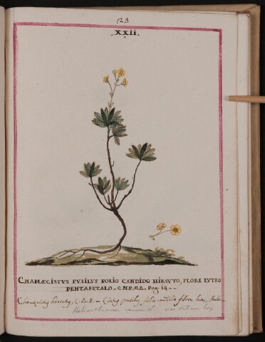 Anteprima dell'oggetto