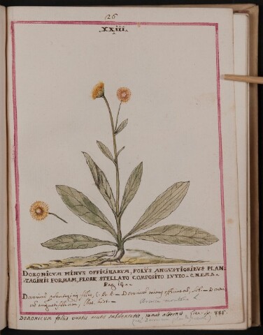 Anteprima dell'oggetto