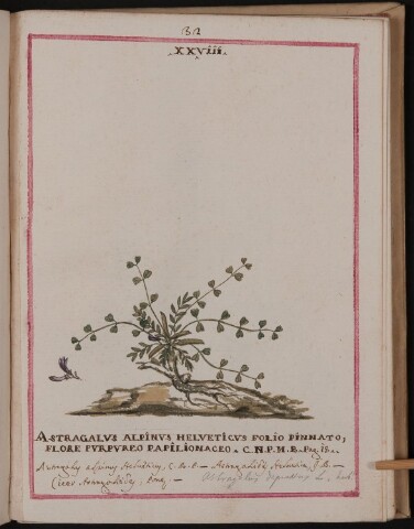 Anteprima dell'oggetto