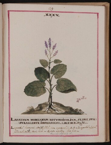 Anteprima dell'oggetto