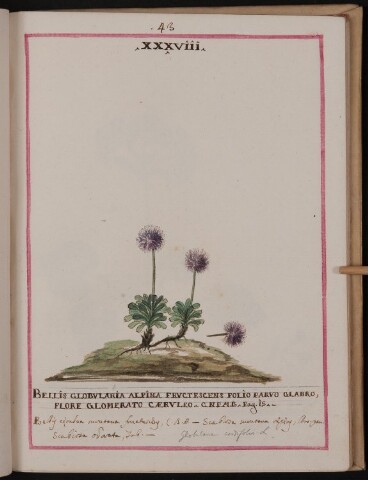 Anteprima dell'oggetto