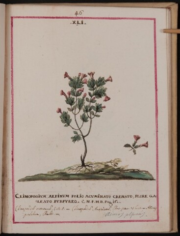 Anteprima dell'oggetto