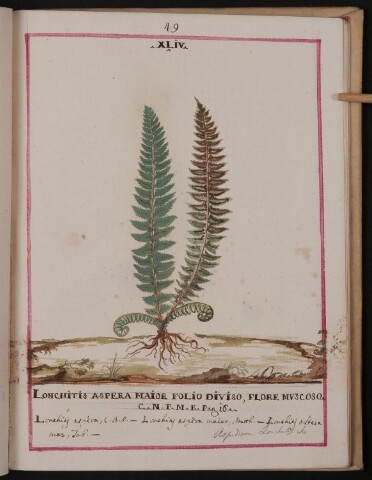 Anteprima dell'oggetto