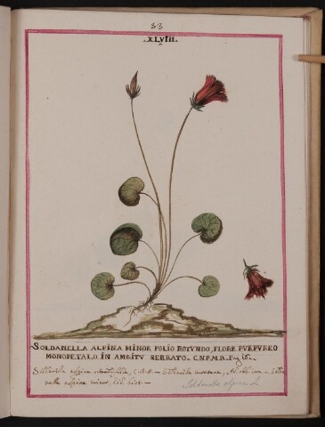 Anteprima dell'oggetto