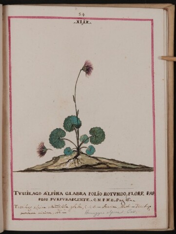 Anteprima dell'oggetto