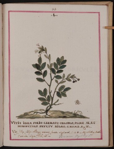 Anteprima dell'oggetto