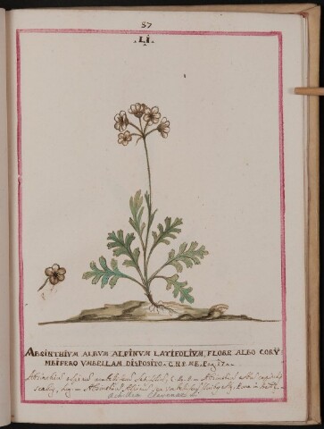 Anteprima dell'oggetto