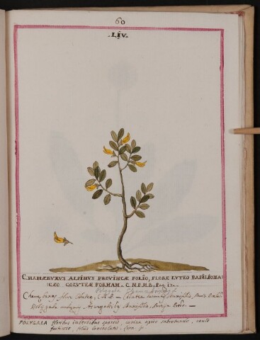 Anteprima dell'oggetto