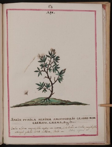 Anteprima dell'oggetto