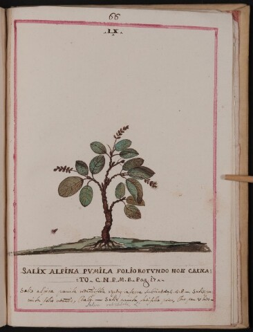 Anteprima dell'oggetto