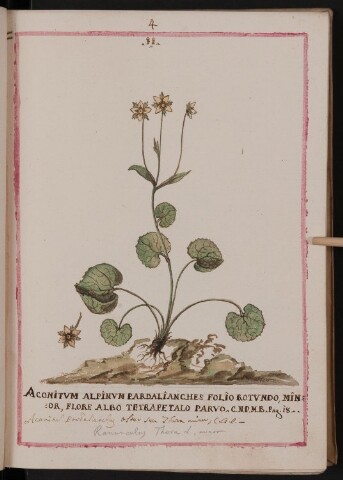 Anteprima dell'oggetto