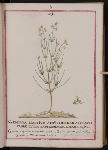 Anteprima dell'oggetto