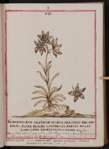 Anteprima dell'oggetto