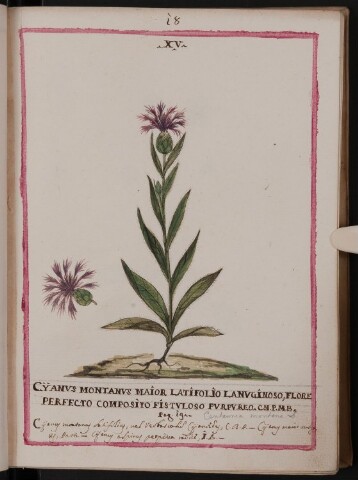 Anteprima dell'oggetto