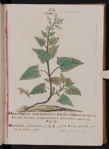 Anteprima dell'oggetto