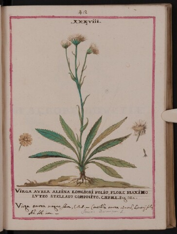 Anteprima dell'oggetto