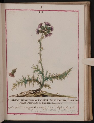 Anteprima dell'oggetto