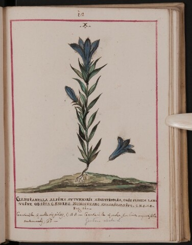 Anteprima dell'oggetto