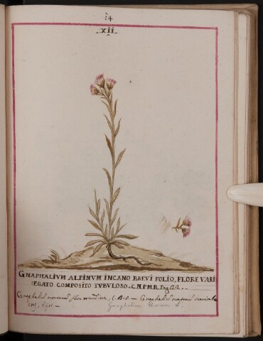 Anteprima dell'oggetto