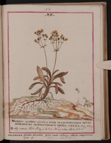 Anteprima dell'oggetto